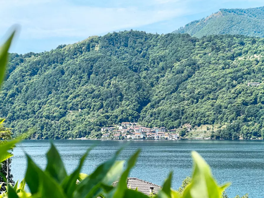 Immagine 36 di Villa in vendita  in via crabbia 1 a Pettenasco