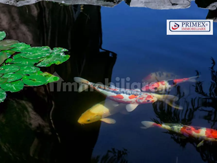 Immagine 12 di Appartamento in affitto  in VIA APPIA PIGNATELLI a Roma