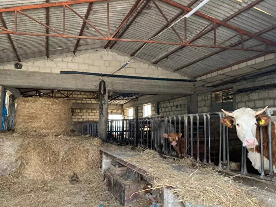 Immagine 24 di Casa indipendente in vendita  in Contrada Bibiola a Modica