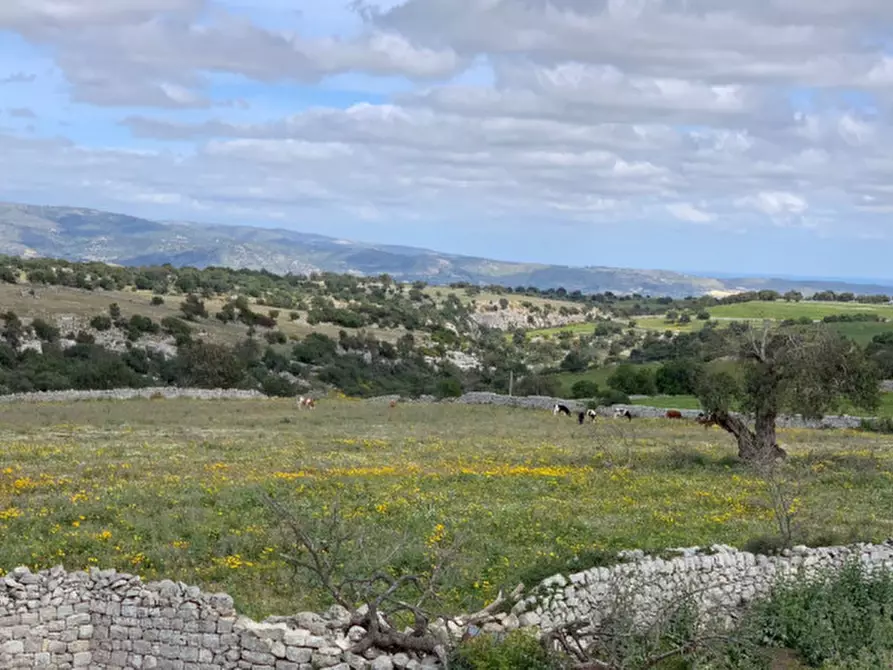 Immagine 18 di Rustico / casale in vendita  in Contrada Commaldo a Rosolini