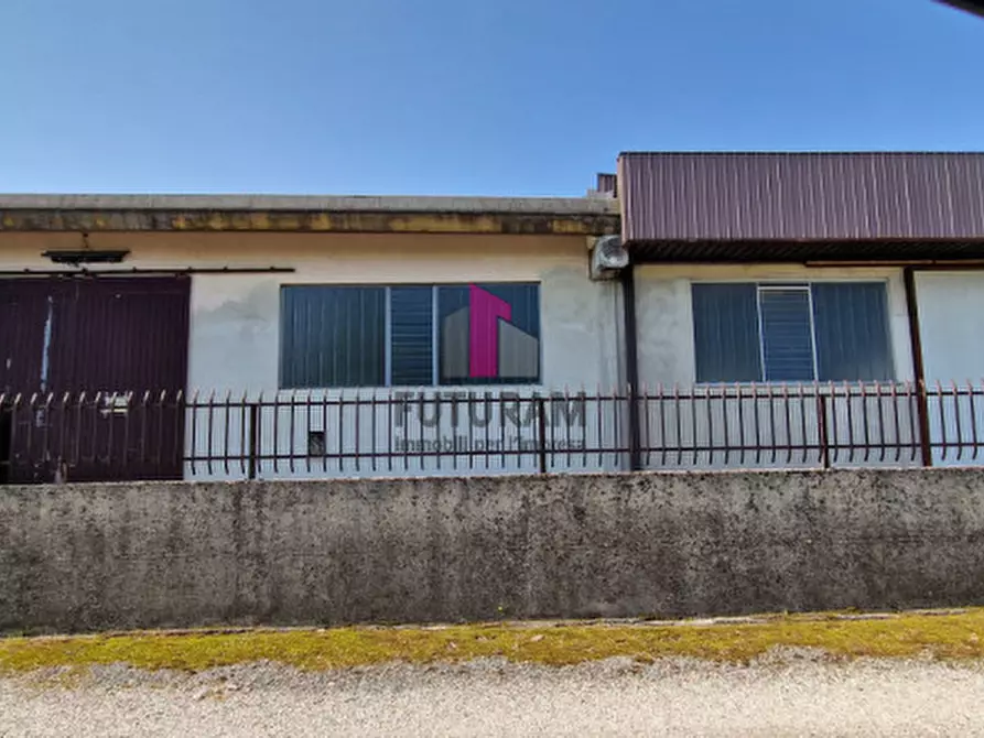 Immagine 21 di Capannone industriale in vendita  a Casale Di Scodosia