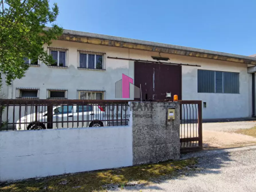 Immagine 22 di Capannone industriale in vendita  a Casale Di Scodosia