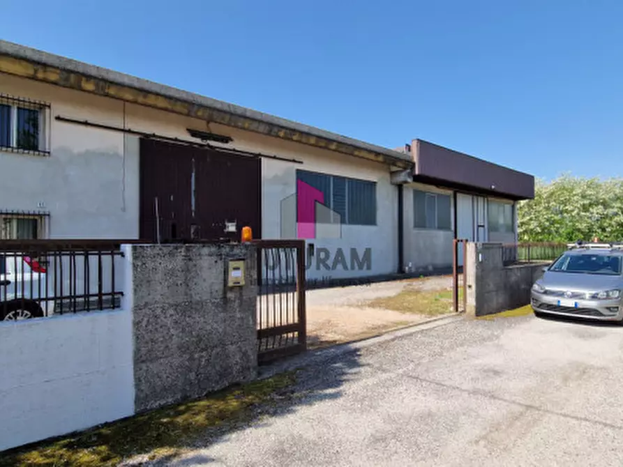 Immagine 23 di Capannone industriale in vendita  a Casale Di Scodosia