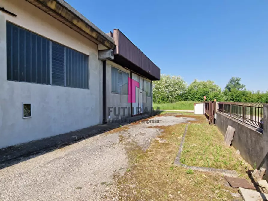 Immagine 24 di Capannone industriale in vendita  a Casale Di Scodosia