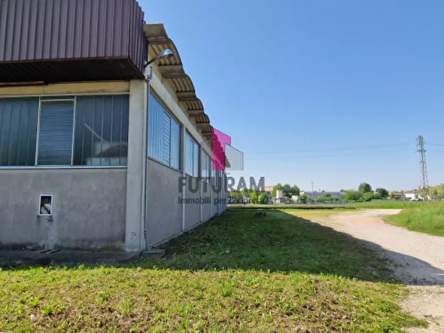 Immagine 28 di Capannone industriale in vendita  a Casale Di Scodosia