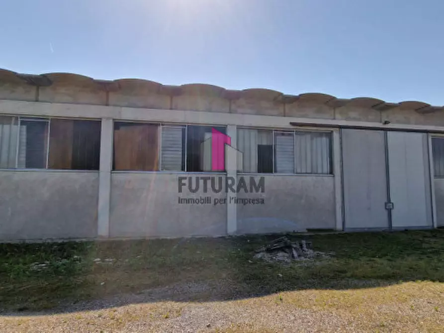 Immagine 29 di Capannone industriale in vendita  a Casale Di Scodosia