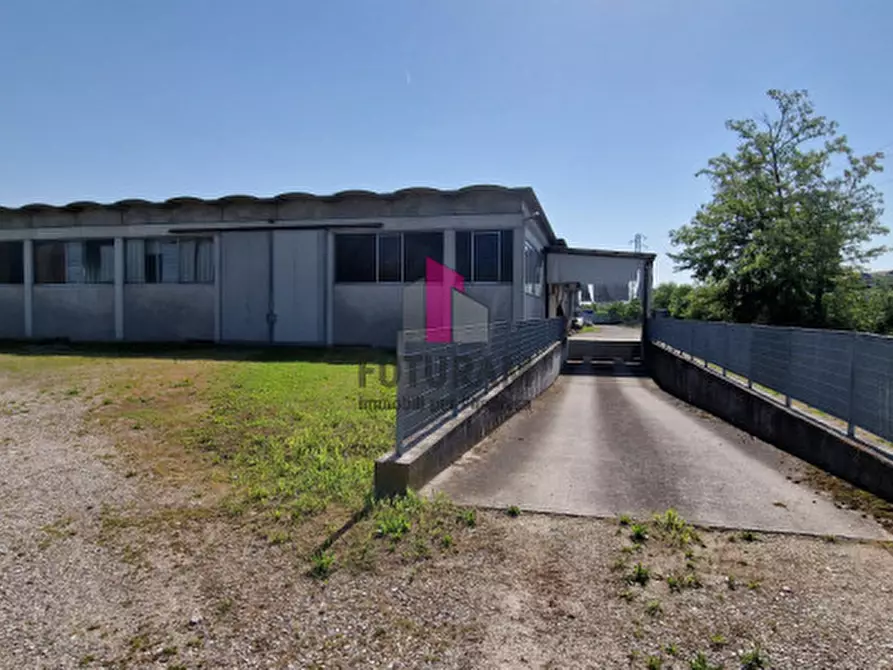 Immagine 30 di Capannone industriale in vendita  a Casale Di Scodosia