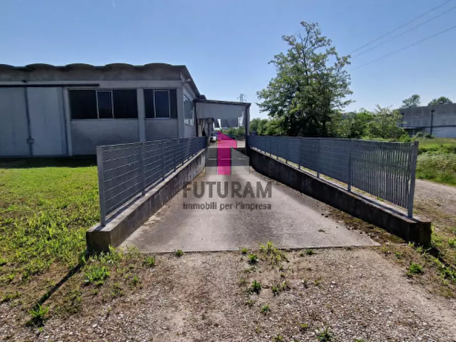 Immagine 31 di Capannone industriale in vendita  a Casale Di Scodosia