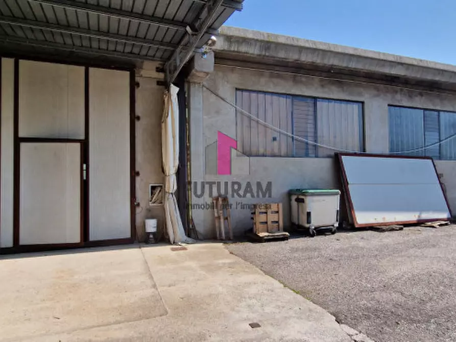 Immagine 33 di Capannone industriale in vendita  a Casale Di Scodosia