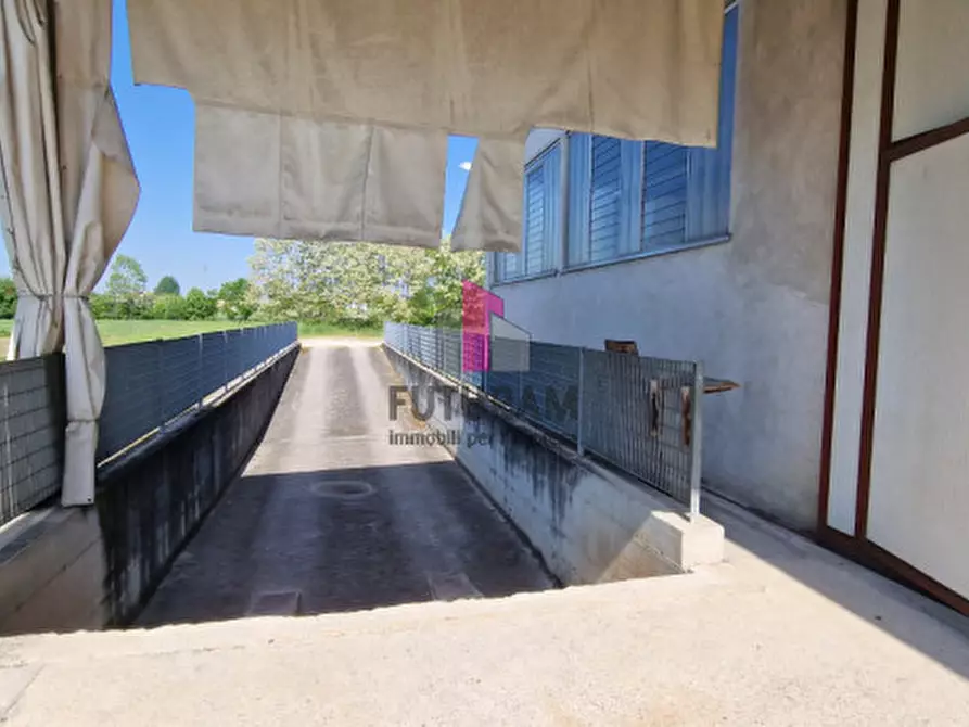 Immagine 35 di Capannone industriale in vendita  a Casale Di Scodosia