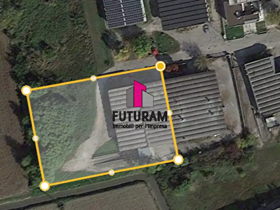 Immagine 37 di Capannone industriale in vendita  a Casale Di Scodosia