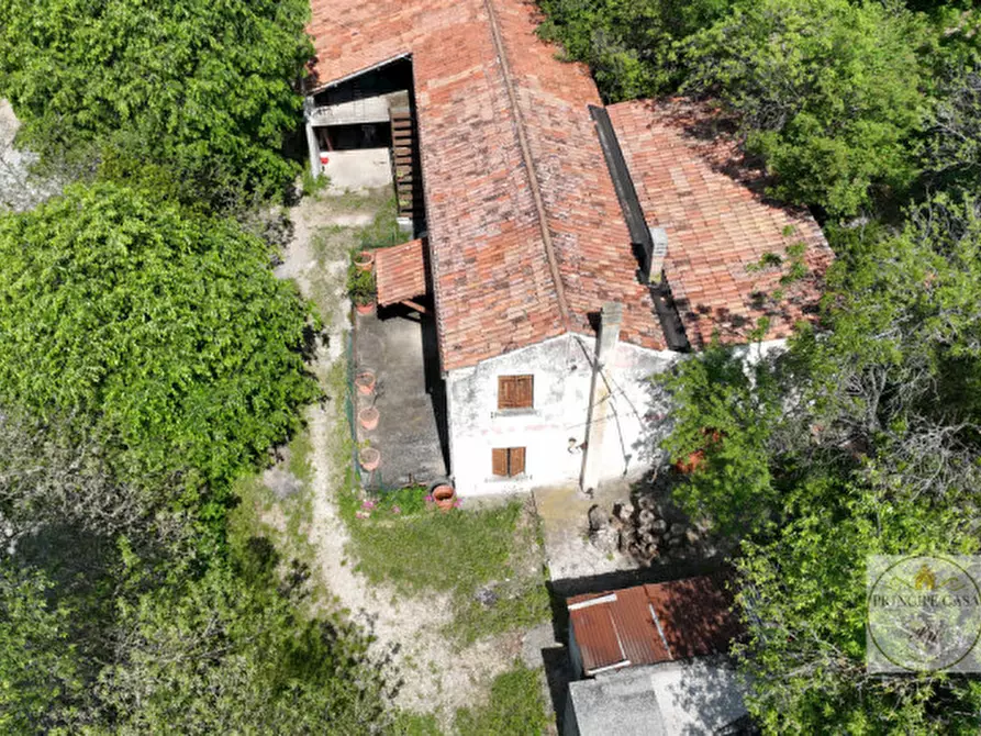 Immagine 4 di Rustico / casale in vendita  in via scalette a Arqua' Petrarca