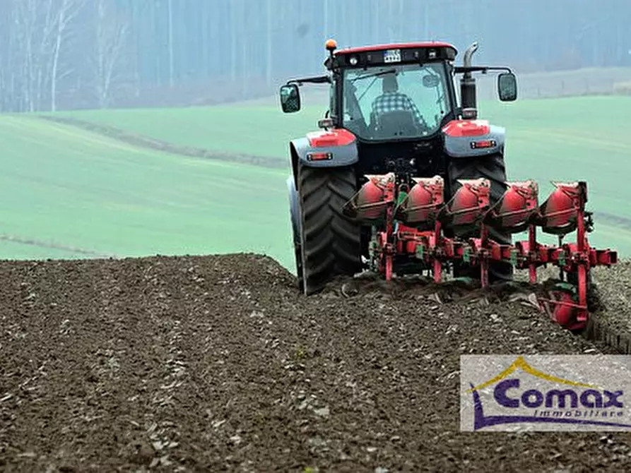 Immagine 2 di Terreno in vendita  in Via Veneto a Taglio Di Po