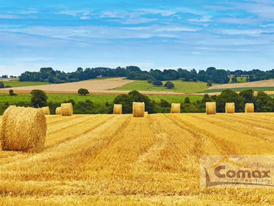 Immagine 3 di Terreno in vendita  in Via Veneto a Taglio Di Po