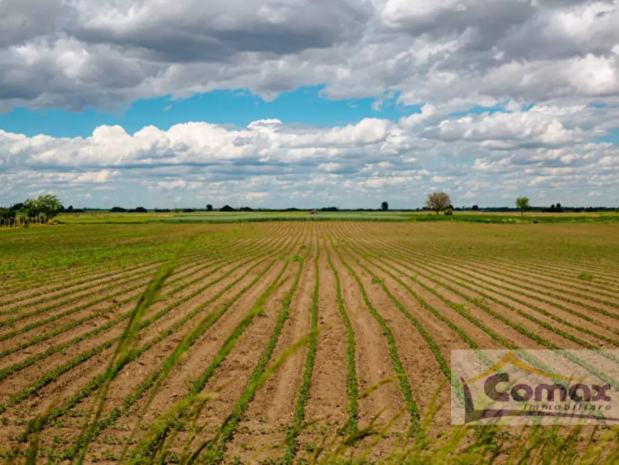 Immagine 4 di Terreno in vendita  in Via Veneto a Taglio Di Po
