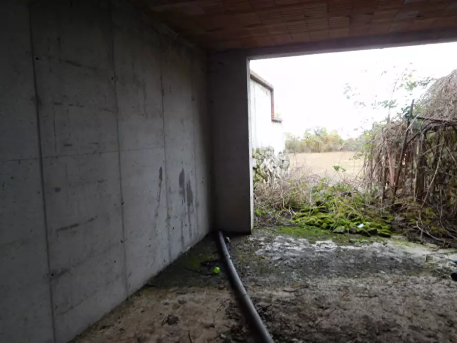 Immagine 5 di Rustico / casale in vendita  a Torreglia
