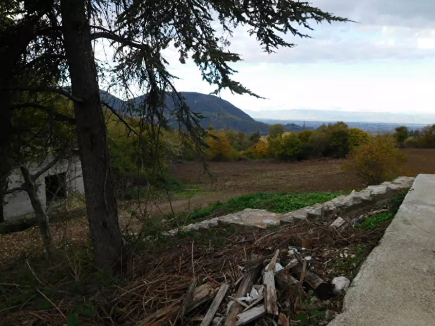 Immagine 38 di Rustico / casale in vendita  a Torreglia
