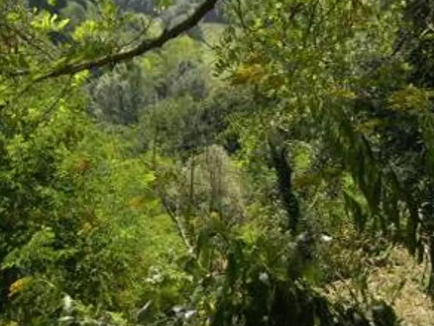 Immagine 1 di Terreno in vendita  in Frazione Castiglione a Asti