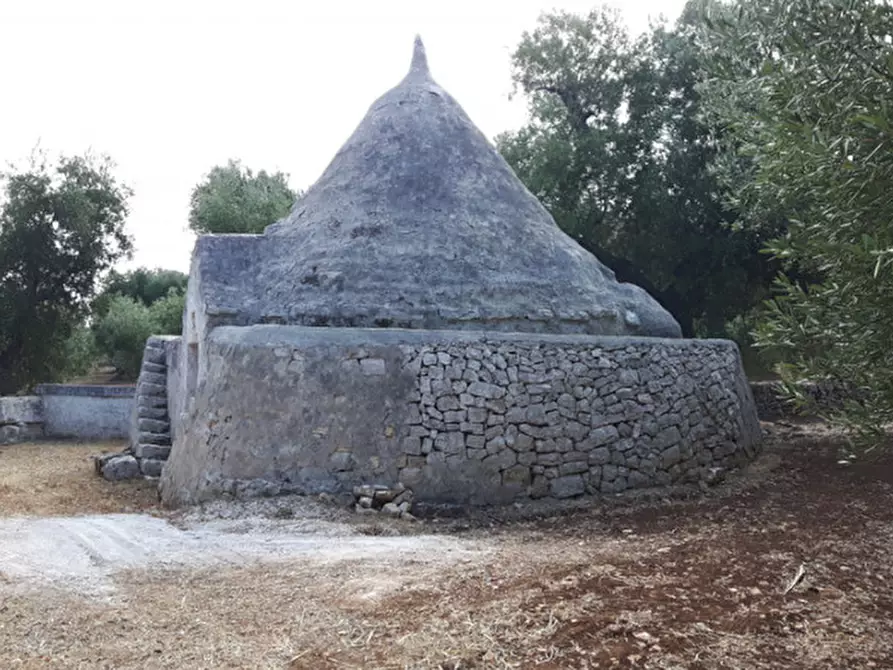 Immagine 4 di Rustico / casale in vendita  in C.da Casalini a Ostuni
