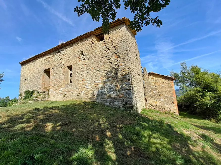 Immagine 2 di Rustico / casale in vendita  a Umbertide