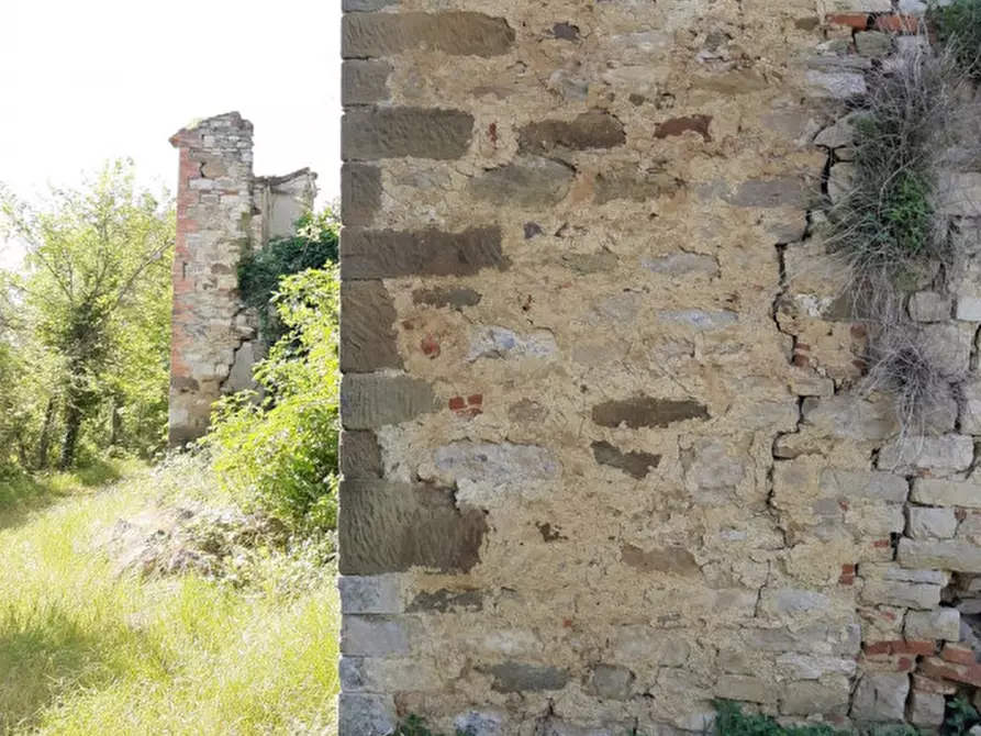 Immagine 11 di Rustico / casale in vendita  a Umbertide