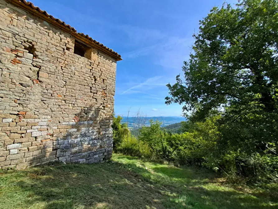 Immagine 16 di Rustico / casale in vendita  a Umbertide