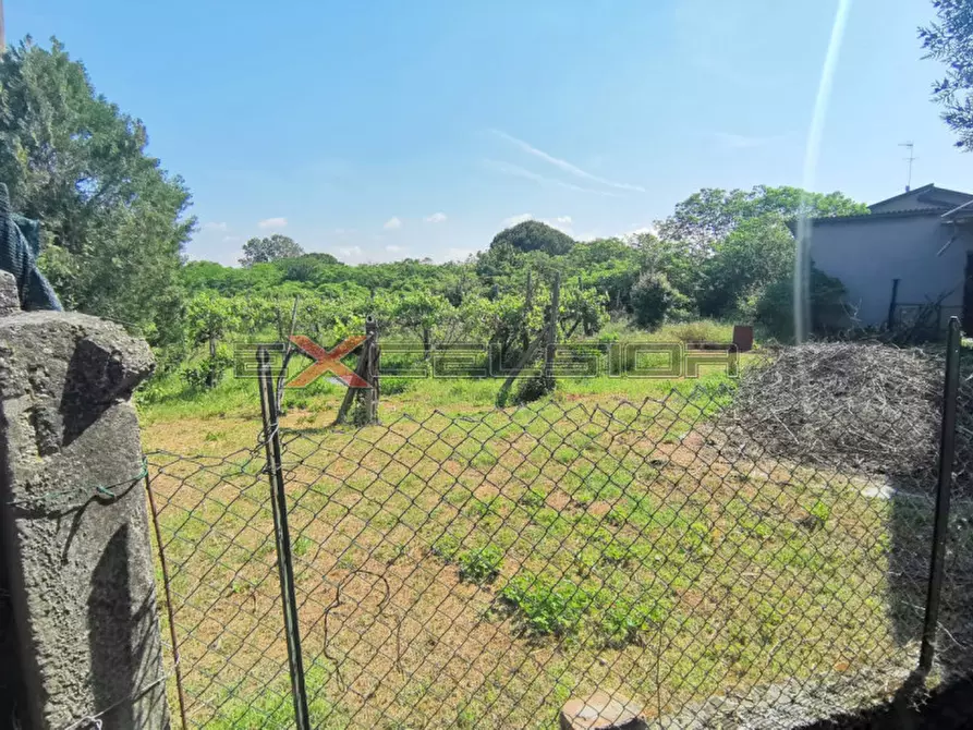 Immagine 7 di Casa indipendente in vendita  in Corso Risorgimento 160, Porto Viro (RO) a Ariano Nel Polesine