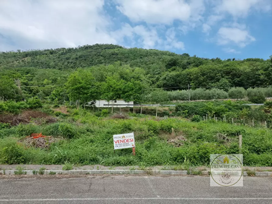 Immagine 1 di Terreno in vendita  in via degli ulivi a Arqua' Petrarca