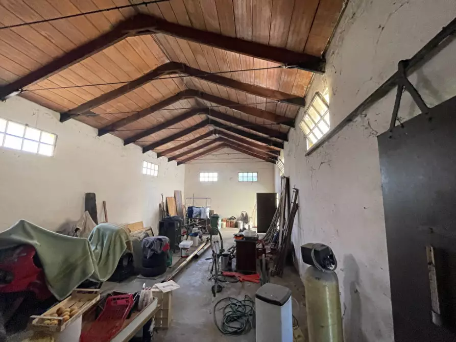 Immagine 3 di Casa trifamiliare in vendita  a Pegognaga