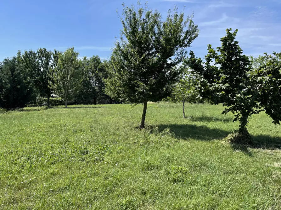 Immagine 11 di Casa trifamiliare in vendita  a Pegognaga