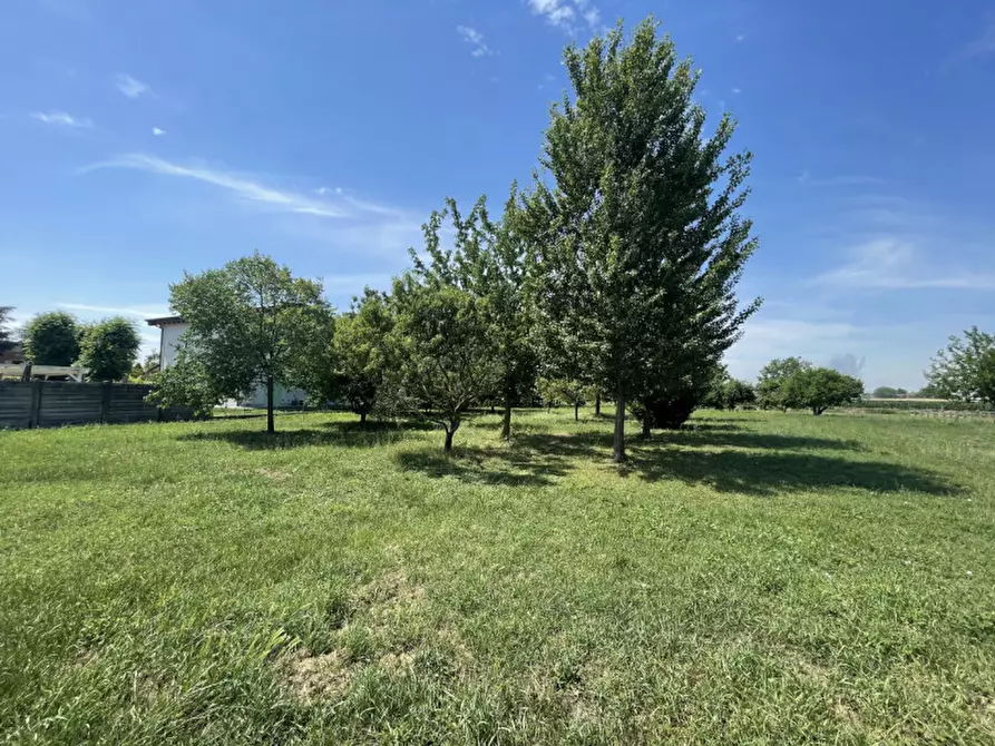 Immagine 12 di Casa trifamiliare in vendita  a Pegognaga