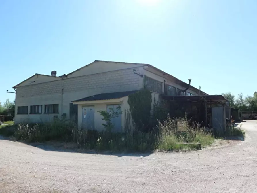 Immagine 3 di Capannone industriale in vendita  in viale firenze 4, N. snc a Campello Sul Clitunno