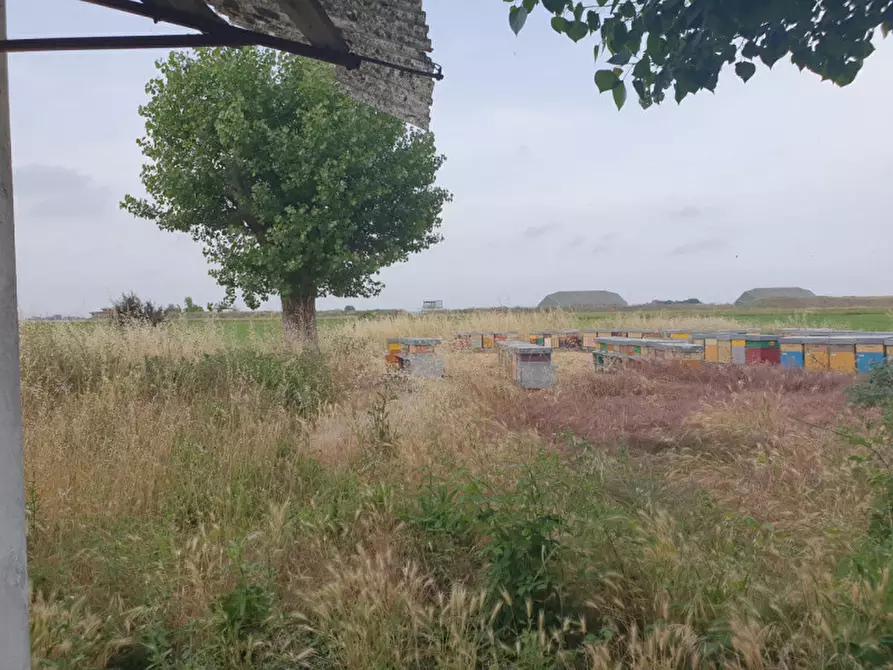 Immagine 12 di Casa indipendente in vendita  in VIA DEL CONFINE a Cervia