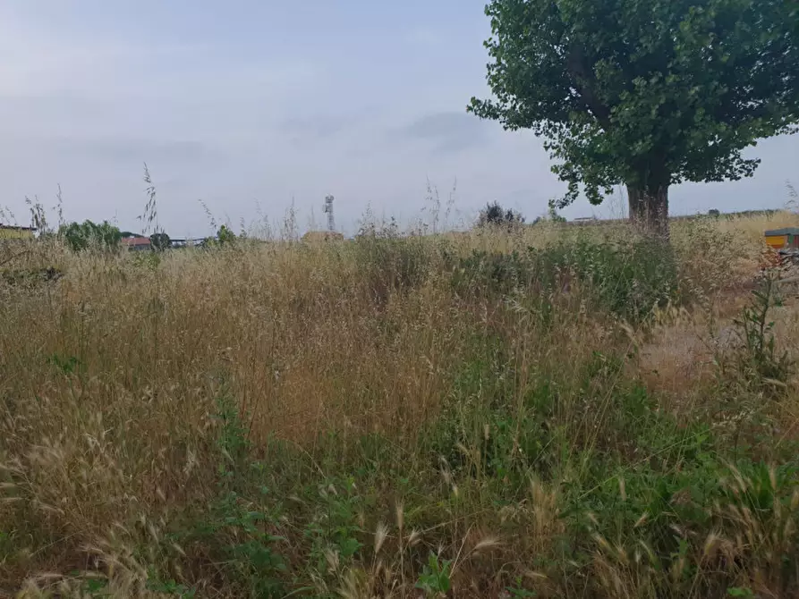 Immagine 16 di Casa indipendente in vendita  in VIA DEL CONFINE a Cervia