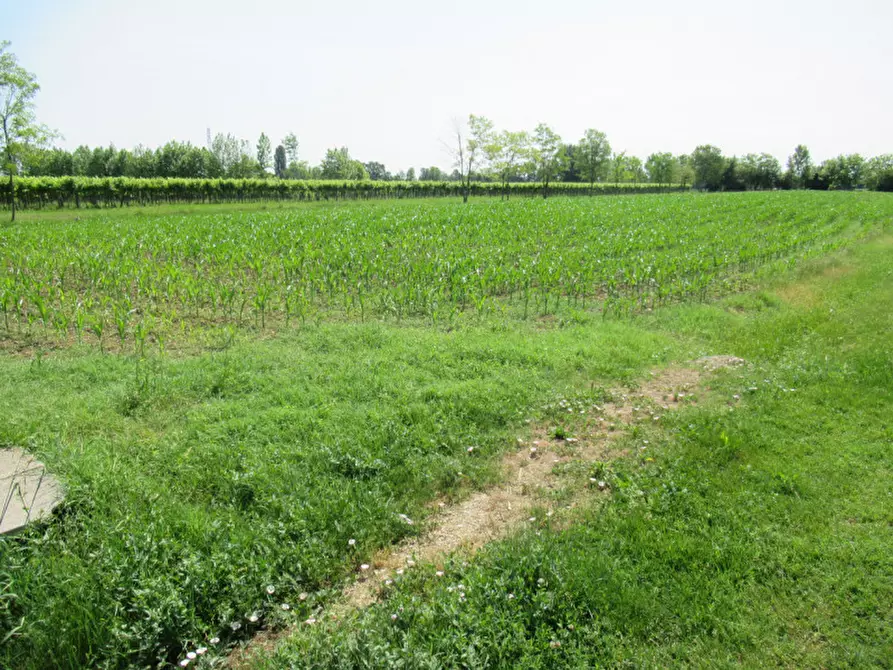 Immagine 5 di Terreno in vendita  in via graere a Carbonera