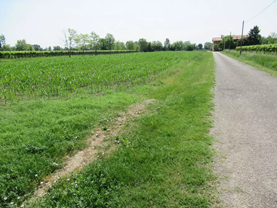 Immagine 10 di Terreno in vendita  in via graere a Carbonera