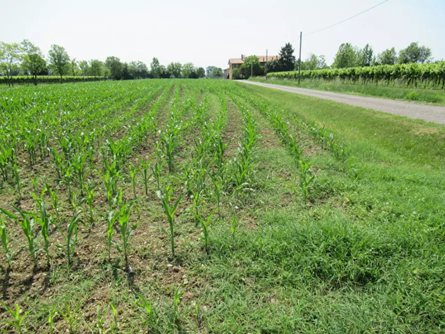 Immagine 16 di Terreno in vendita  in via graere a Carbonera