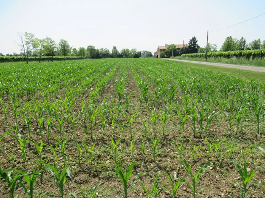 Immagine 17 di Terreno in vendita  in via graere a Carbonera