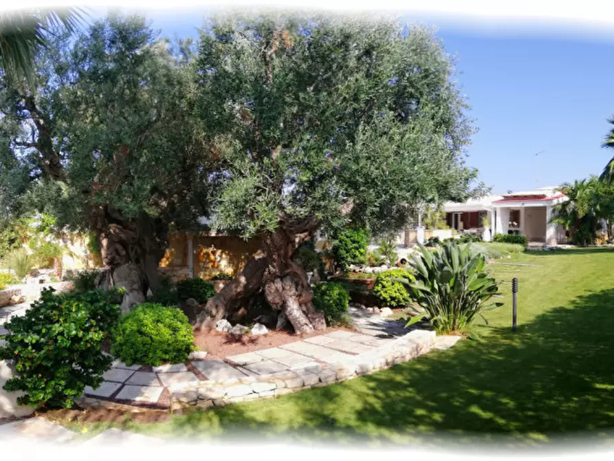 Immagine 60 di Villa in vendita  in CAPITOLO a Monopoli