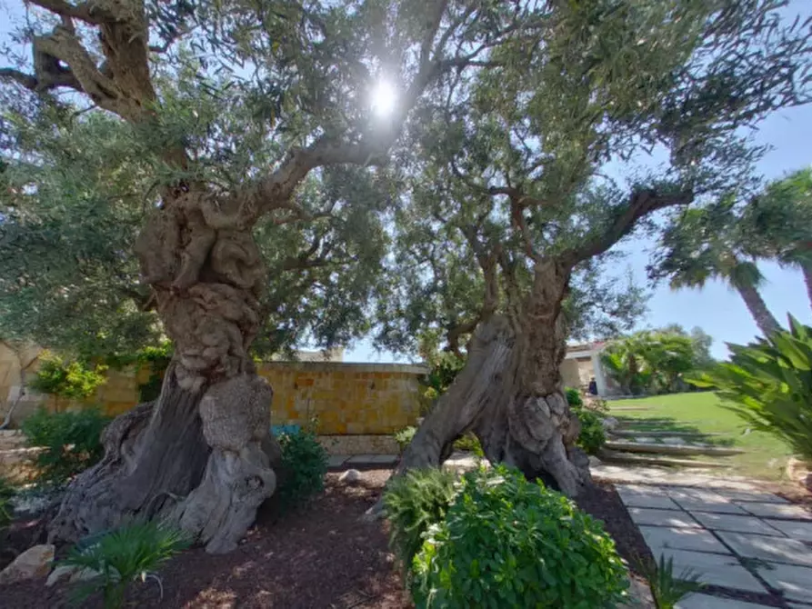 Immagine 67 di Villa in vendita  in CAPITOLO a Monopoli