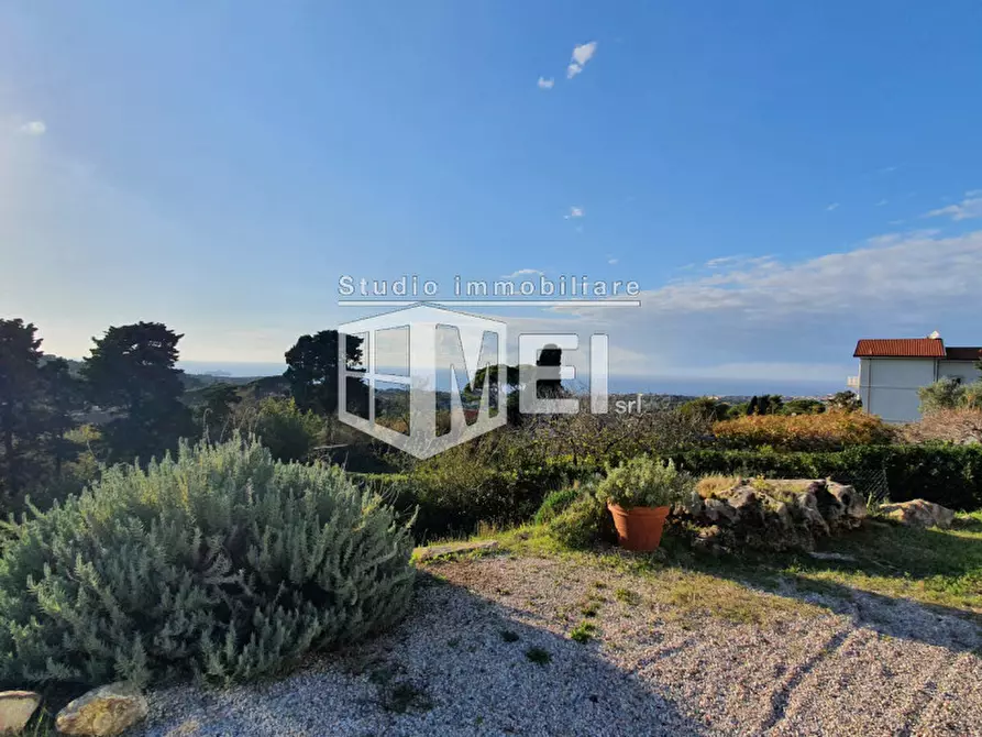 Immagine 11 di Villa in vendita  a Livorno