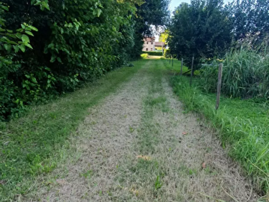 Immagine 2 di Terreno in vendita  in VIA PADOVANE a Massanzago