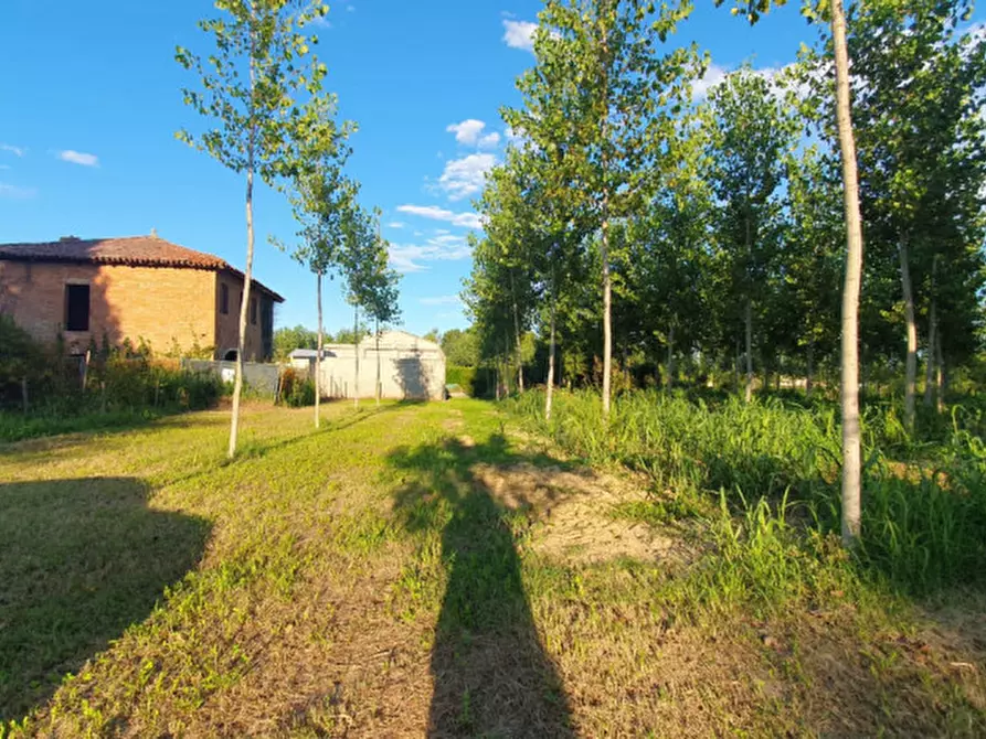 Immagine 4 di Terreno in vendita  in VIA PADOVANE a Massanzago