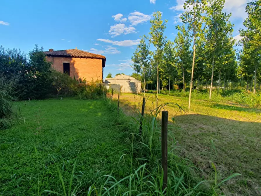 Immagine 5 di Terreno in vendita  in VIA PADOVANE a Massanzago