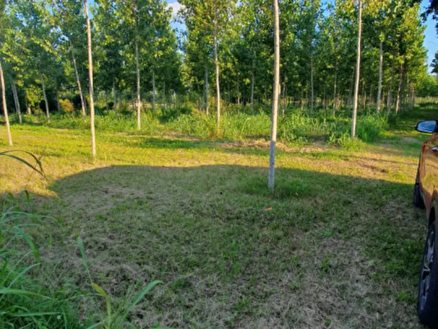 Immagine 8 di Terreno in vendita  in VIA PADOVANE a Massanzago