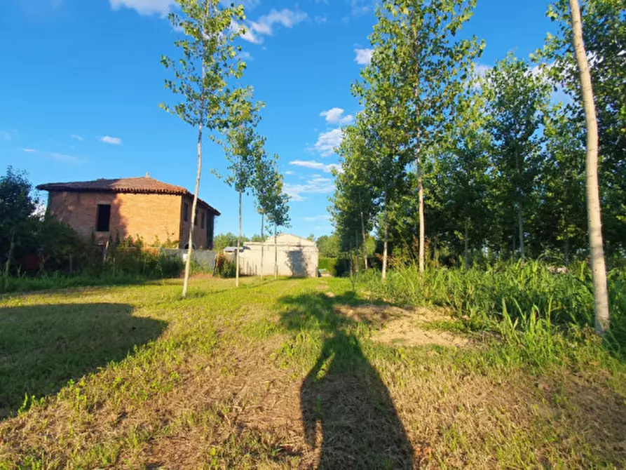 Immagine 9 di Terreno in vendita  in VIA PADOVANE a Massanzago