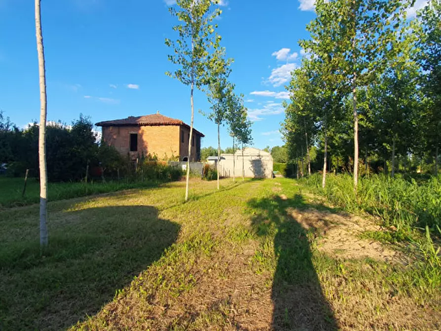 Immagine 10 di Terreno in vendita  in VIA PADOVANE a Massanzago