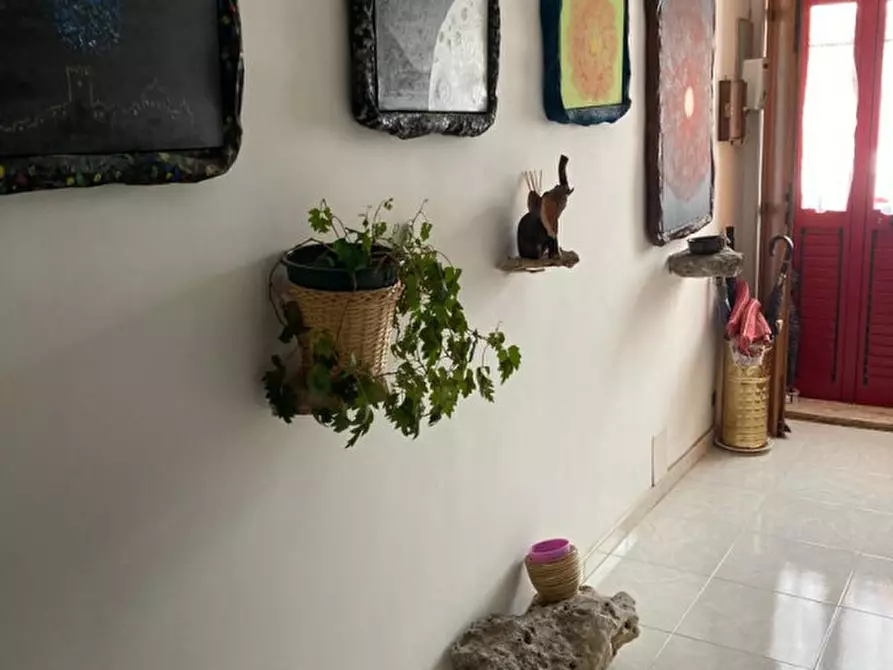 Immagine 7 di Appartamento in vendita  in Via Sacerdote Paolo Lisi a Ceglie Messapico