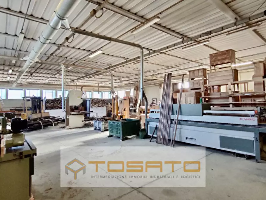 Immagine 3 di Capannone industriale in vendita  a Cerea