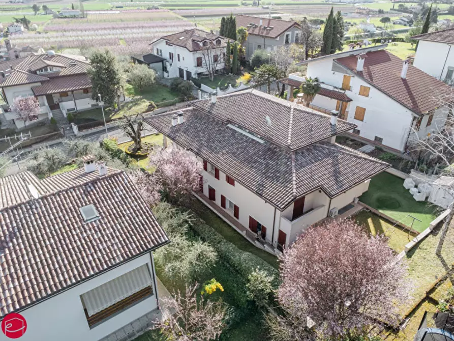 Immagine 8 di Villa in vendita  a Montiano